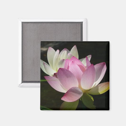 Paar der Lotus-Blume II Magnet (Vorderseite/Rückseite)