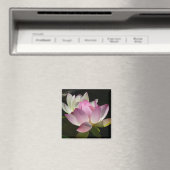 Paar der Lotus-Blume II Magnet (In Situ (Geschirrspüler))