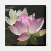 Paar der Lotus-Blume II Magnet (Vorne)