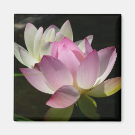 Paar der Lotus-Blume II Magnet
