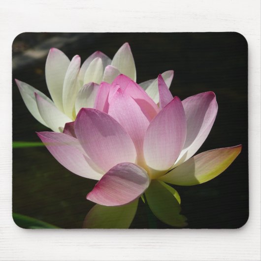 Paar der Lotus-Blume II Mousepad (Vorne)