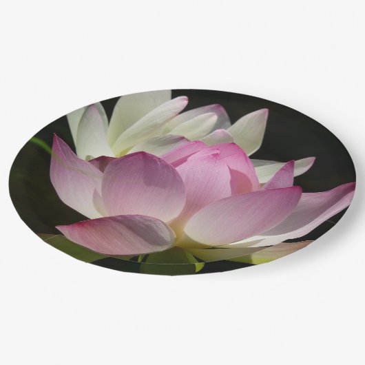 Paar der Lotus-Blume II Pappteller (Schrägansicht)