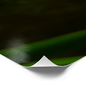 Paar der Lotus-Blume II Poster (Ecke)