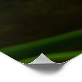 Paar der Lotus-Blume II Poster (Ecke)