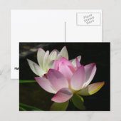 Paar der Lotus-Blume II Postkarte (Vorne/Hinten)