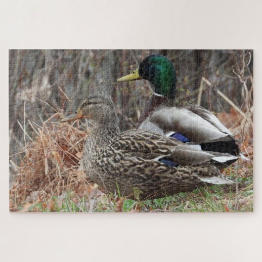 Paar der Mallard-Enten Puzzle (Horizontal)