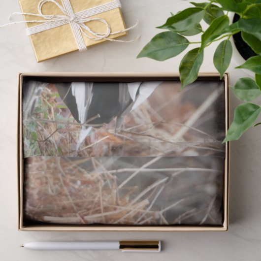 Paar der Mallard-Enten Seidenpapier (Geschenk)