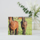 Paar der Organe Postkarte (Stehend Vorderseite)