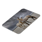 Paar der Pferdeställe von Camargue, Südfrankreich Magnet (Linke Seite)