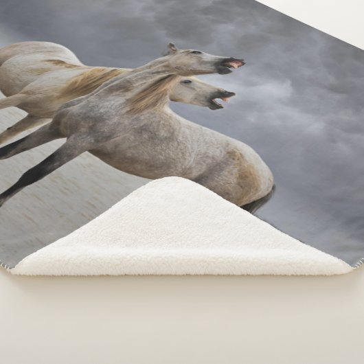 Paar der Pferdeställe von Camargue, Südfrankreich Sherpadecke (3/4)