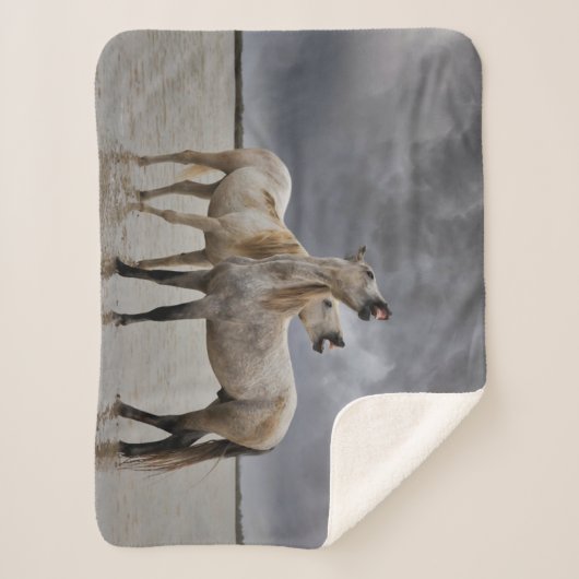 Paar der Pferdeställe von Camargue, Südfrankreich Sherpadecke (Vorderseite)