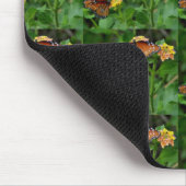 Paar der Schmetterlinge der Königin Mousepad (Ecke)