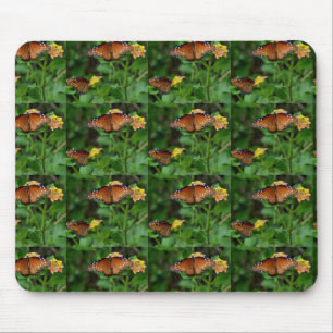 Paar der Schmetterlinge der Königin Mousepad