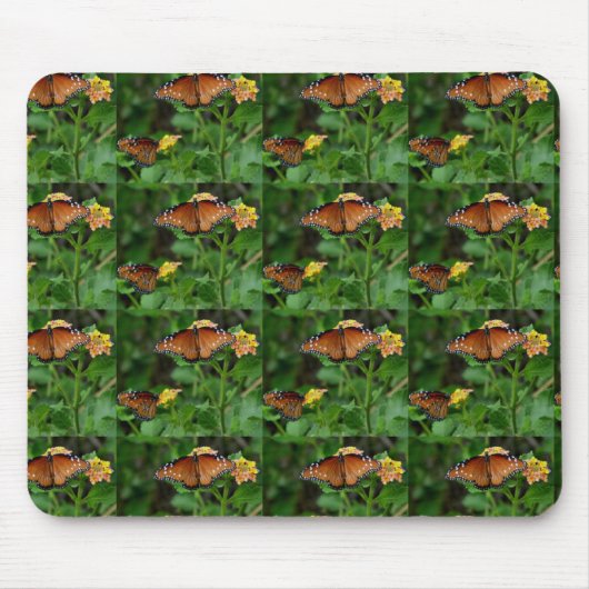 Paar der Schmetterlinge der Königin Mousepad (Vorne)