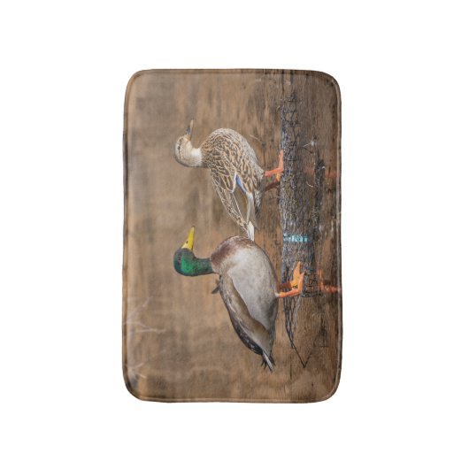 Paar der Stockente duckt Matte (Vorderseite Vertikal)