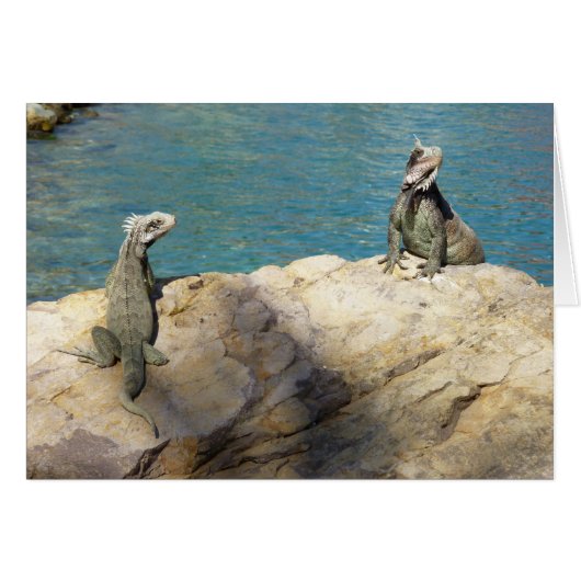 Paar der tropischen Naturfotografie von Iguanas (Vorderseite (Horizontal))
