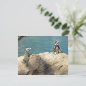 Paar der tropischen Naturfotografie von Iguanas (Stehend Vorderseite)