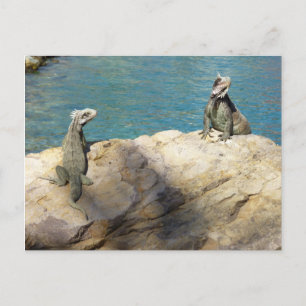 Paar der tropischen Naturfotografie von Iguanas Postkarte