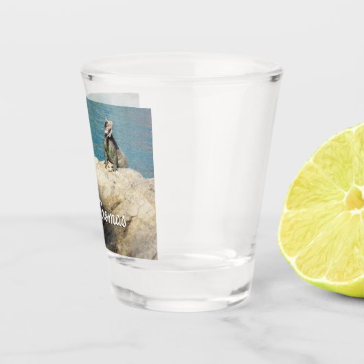 Paar der tropischen Naturfotografie von Iguanas Schnapsglas (Rechts)
