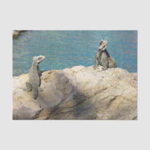 Paar der tropischen Naturfotografie von Iguanas Seidenpapier