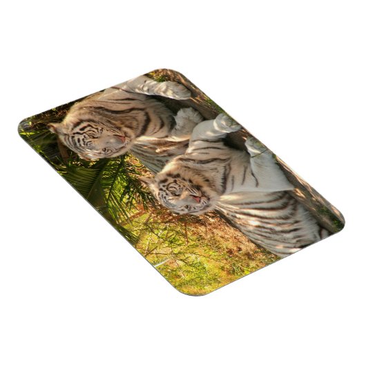 Paar der weißen Tiger Flexible Magnet (Rechte Seite)