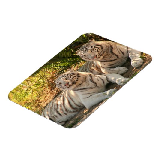 Paar der weißen Tiger Flexible Magnet (Linke Seite)
