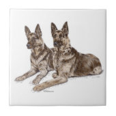 Paar deutsche Schäferhunde Fliese (Vorderseite)