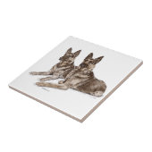 Paar deutsche Schäferhunde Fliese (Seite)