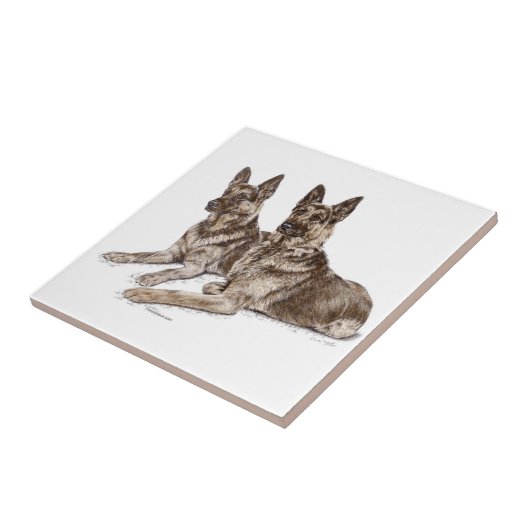 Paar deutsche Schäferhunde Fliese (Seite)