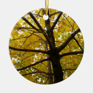 Paar gelber Ahornbäume Herbst Natur Keramik Ornament