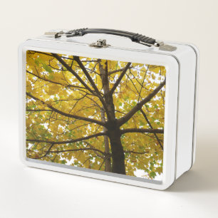 Paar gelber Ahornbäume Herbst Natur Metall Brotdose