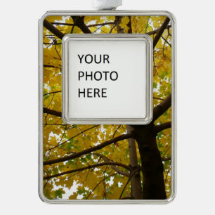 Paar gelber Ahornbäume Herbst Natur Rahmen-Ornament Silber