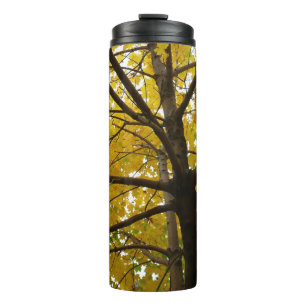 Paar gelber Ahornbäume Herbst Natur Thermosbecher