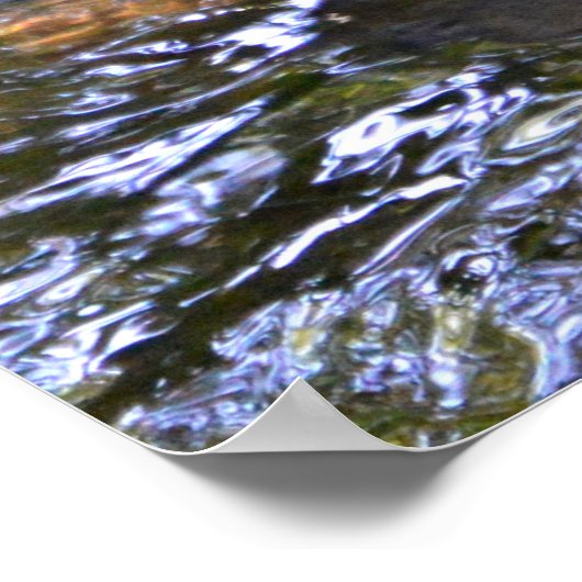 Paar gematchter Mallards Poster (Ecke)