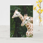 Paar Giraffen Grußkarten Karte (Gelbe Blume)
