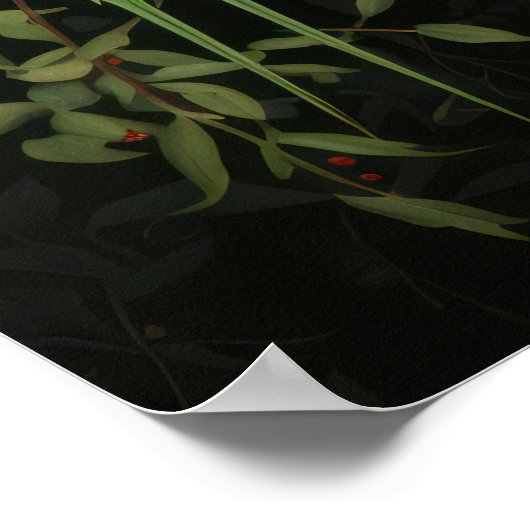 Paar grüne Budgerigars Poster (Ecke)