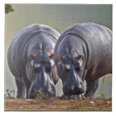 Paar Hippos Fliese (Vorderseite)