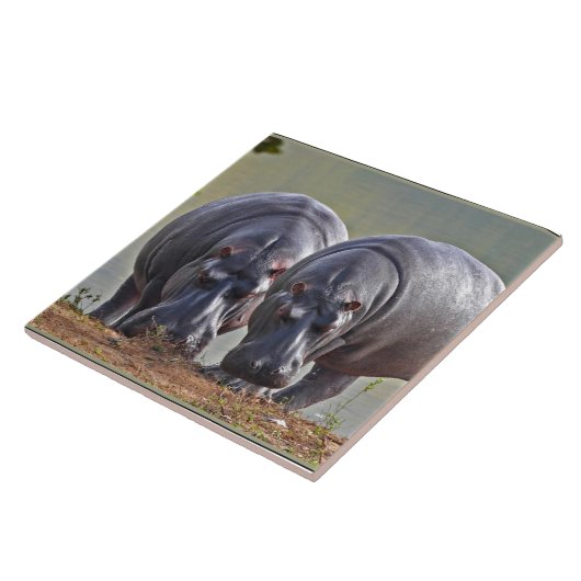 Paar Hippos Fliese (Seite)