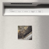 Paar junger Coyoten Howling Magnet (In Situ (Geschirrspüler))