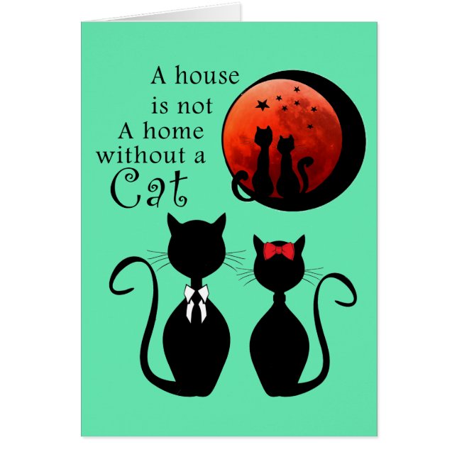 paar Katzen im Zuhause (Vorne)