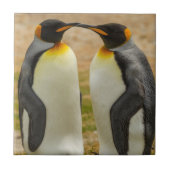 Paar König Pinguine, Falklands Fliese (Vorderseite)