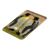 Paar König Pinguine, Falklands Magnet (Linke Seite)