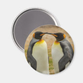 Paar König Pinguine, Falklands Magnet (Vorderseite/Rückseite)