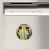 Paar König Pinguine, Falklands Magnet (In Situ (Geschirrspüler))