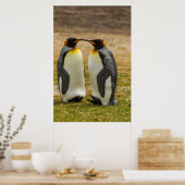Paar König Pinguine, Falklands Poster (Küche)