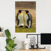 Paar König Pinguine, Falklands Poster (Heimbüro)