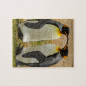 Paar König Pinguine, Falklands Puzzle (Horizontal)