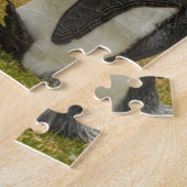 Paar König Pinguine, Falklands Puzzle (Seite)