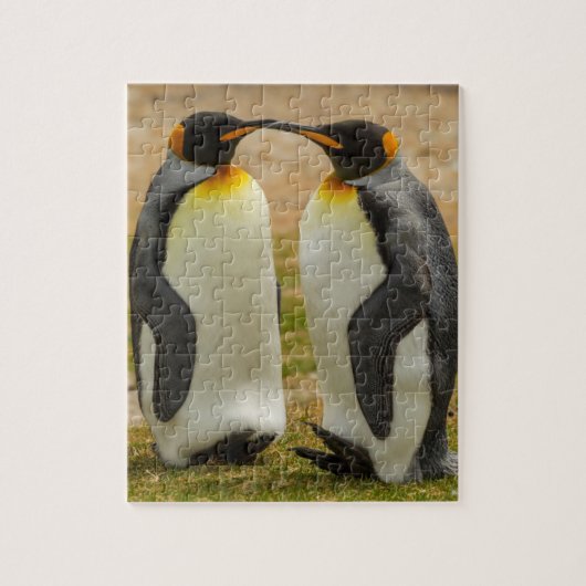 Paar König Pinguine, Falklands Puzzle (Vertikal)