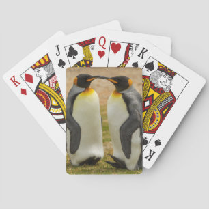 Paar Königspinguine, Falklandinseln Spielkarten